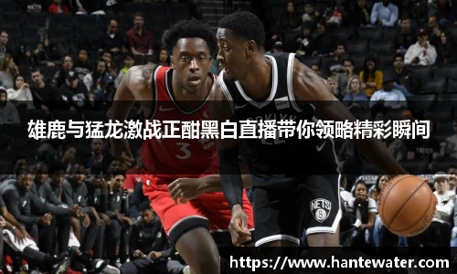 雄鹿与猛龙激战正酣黑白直播带你领略精彩瞬间