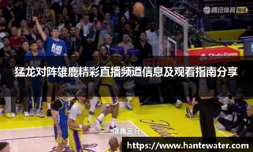 猛龙对阵雄鹿精彩直播频道信息及观看指南分享